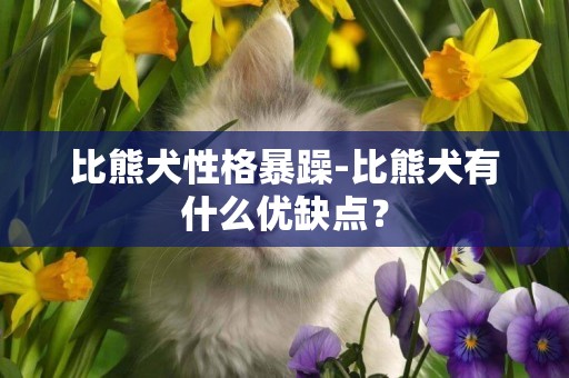 比熊犬性格暴躁-比熊犬有什么優缺點？