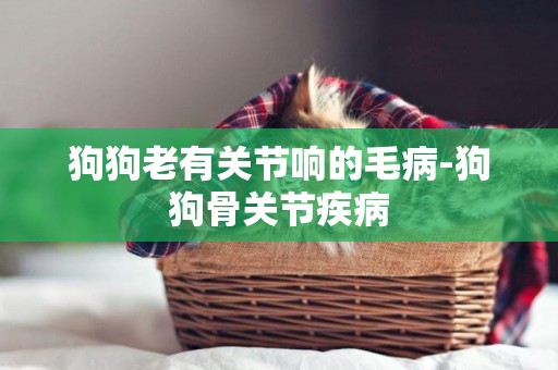 狗狗老有關節響的毛病-狗狗骨關節疾病