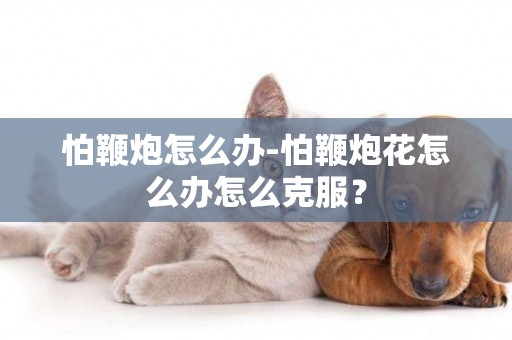 怕鞭炮怎么辦-怕鞭炮花怎么辦怎么克服？