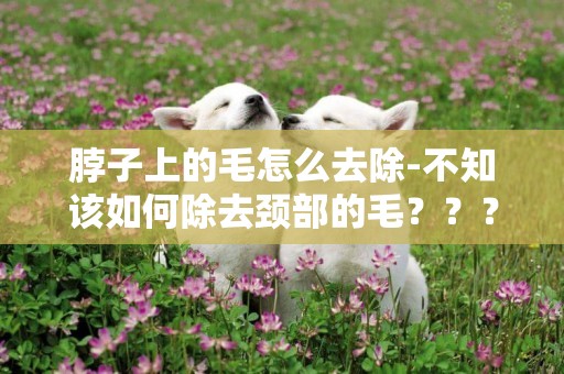 脖子上的毛怎么去除-不知該如何除去頸部的毛？？？