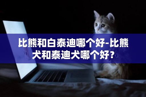 比熊和白泰迪哪個好-比熊犬和泰迪犬哪個好？