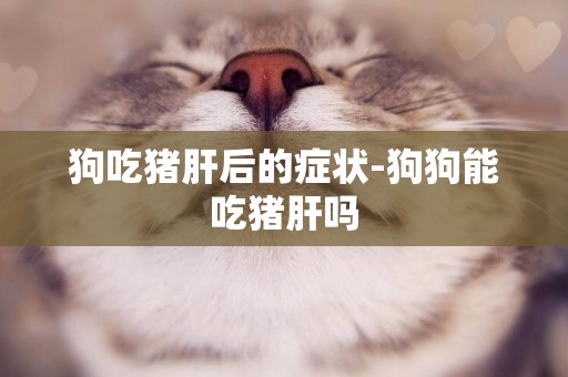 狗吃豬肝后的癥狀-狗狗能吃豬肝嗎
