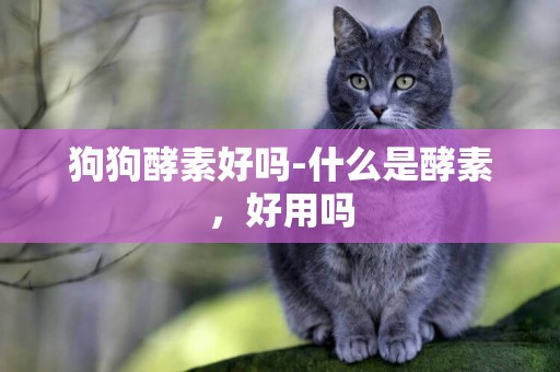 狗狗酵素好嗎-什么是酵素，好用嗎