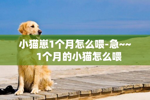 小貓崽1個月怎么喂-急~~   1個月的小貓怎么喂