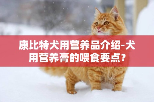 康比特犬用營養品介紹-犬用營養膏的喂食要點？