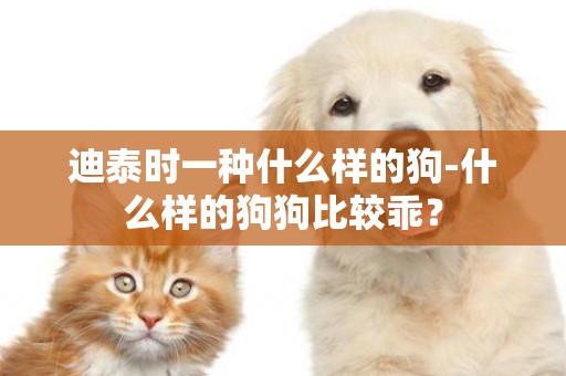 迪泰時一種什么樣的狗-什么樣的狗狗比較乖？