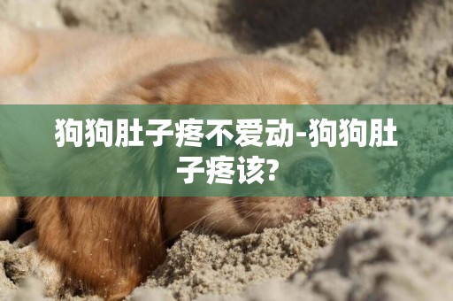 狗狗肚子疼不愛動-狗狗肚子疼該?