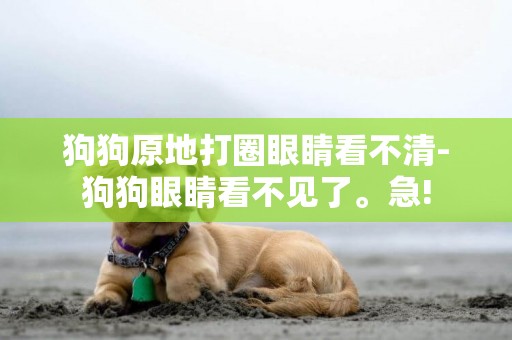 狗狗原地打圈眼睛看不清-狗狗眼睛看不見了。急!