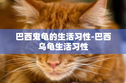 巴西鬼龜的生活習性-巴西烏龜生活習性
