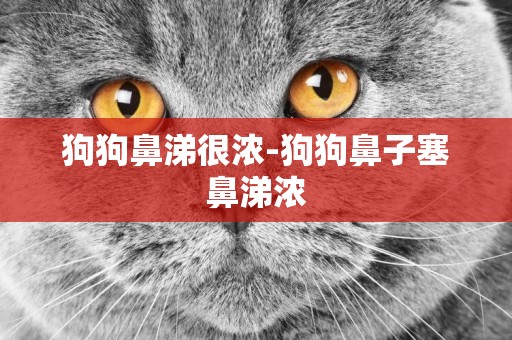 狗狗鼻涕很濃-狗狗鼻子塞鼻涕濃