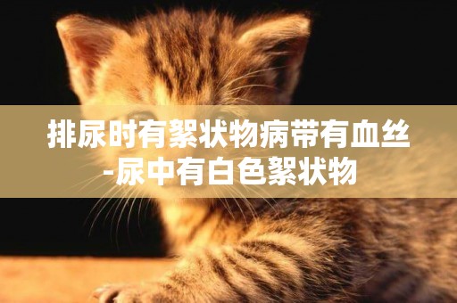 排尿時有絮狀物病帶有血絲-尿中有白色絮狀物