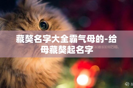 藏獒名字大全霸氣母的-給母藏獒起名字