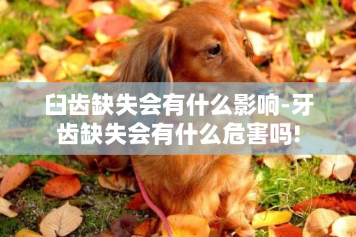 臼齒缺失會有什么影響-牙齒缺失會有什么危害嗎!