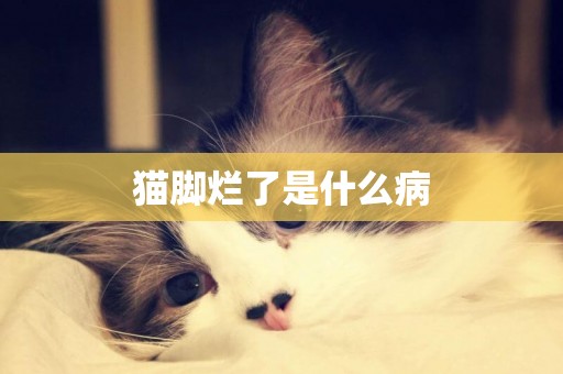 貓腳爛了是什么病