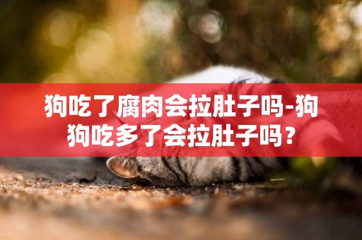 狗吃了腐肉會拉肚子嗎-狗狗吃多了會拉肚子嗎？