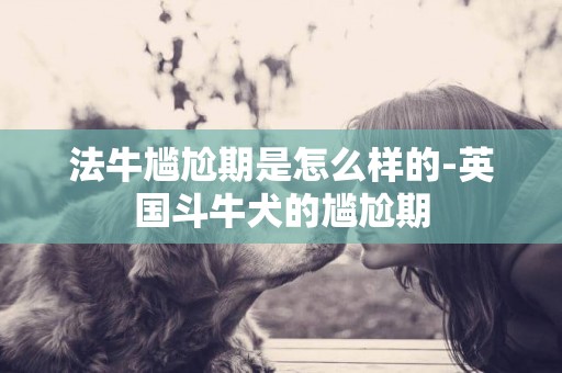 法牛尷尬期是怎么樣的-英國斗牛犬的尷尬期