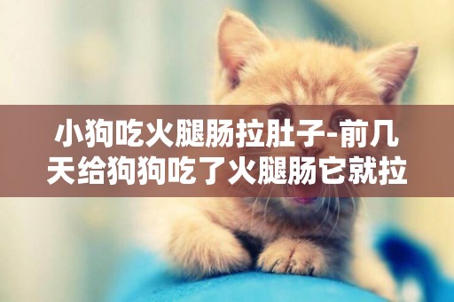 小狗吃火腿腸拉肚子-前幾天給狗狗吃了火腿腸它就拉稀了