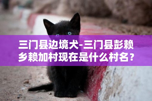 三門縣邊境犬-三門縣彭賴鄉賴加村現在是什么村名？