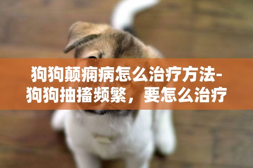 狗狗顛癇病怎么治療方法-狗狗抽搐頻繁，要怎么治療？