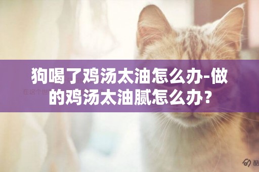 狗喝了雞湯太油怎么辦-做的雞湯太油膩怎么辦？