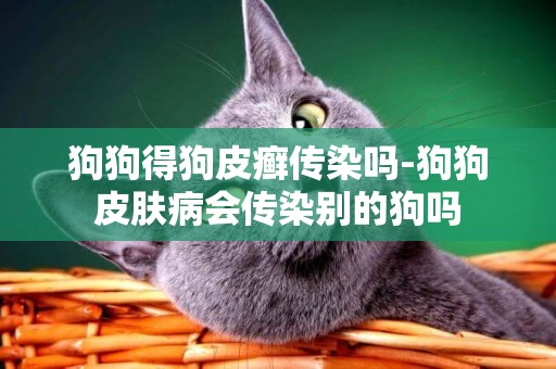 狗狗得狗皮癬傳染嗎-狗狗皮膚病會傳染別的狗嗎