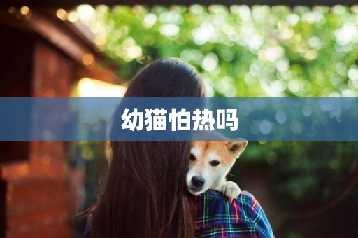 幼貓怕熱嗎
