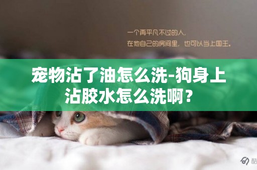 寵物沾了油怎么洗-狗身上沾膠水怎么洗啊？