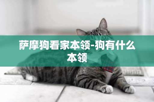 薩摩狗看家本領-狗有什么本領