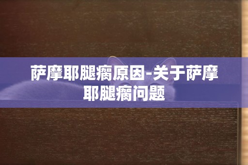 薩摩耶腿瘸原因-關于薩摩耶腿瘸問題