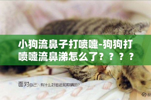 小狗流鼻子打噴嚏-狗狗打噴嚏流鼻涕怎么了？？？？？？