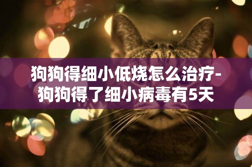 狗狗得細小低燒怎么治療-狗狗得了細小病毒有5天