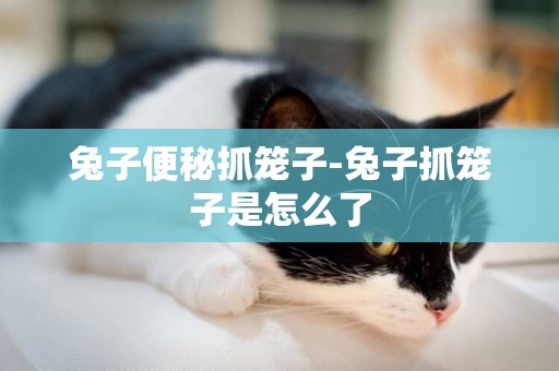 兔子便秘抓籠子-兔子抓籠子是怎么了
