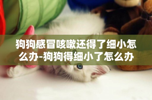 狗狗感冒咳嗽還得了細小怎么辦-狗狗得細小了怎么辦