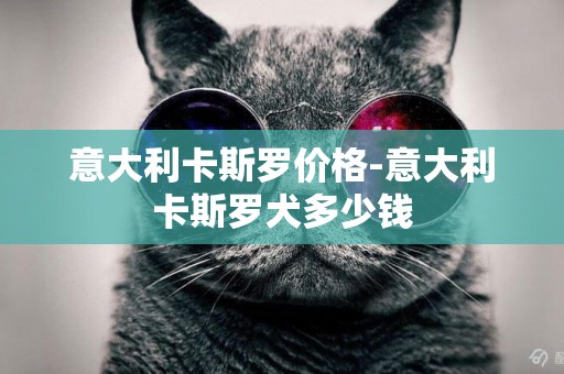 意大利卡斯羅價格-意大利卡斯羅犬多少錢