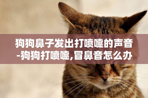 狗狗鼻子發出打噴嚏的聲音-狗狗打噴嚏,冒鼻音怎么辦?
