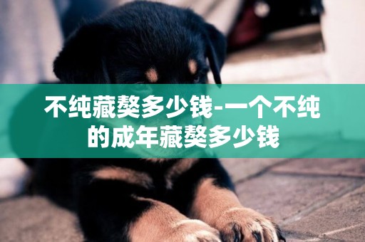 不純藏獒多少錢-一個不純的成年藏獒多少錢