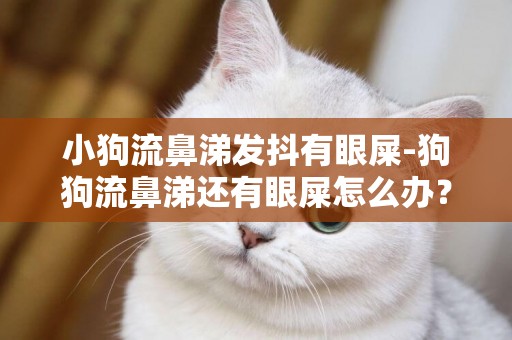 小狗流鼻涕發抖有眼屎-狗狗流鼻涕還有眼屎怎么辦？？