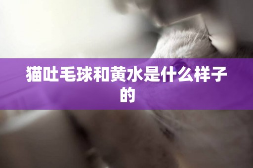 貓吐毛球和黃水是什么樣子的