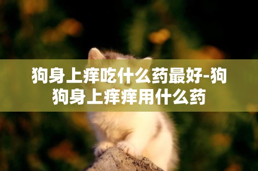 狗身上癢吃什么藥最好-狗狗身上癢癢用什么藥
