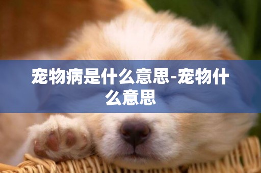寵物病是什么意思-寵物什么意思