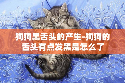 狗狗黑舌頭的產生-狗狗的舌頭有點發黑是怎么了