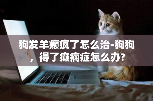 狗發羊癲瘋了怎么治-狗狗，得了癲癇癥怎么辦?