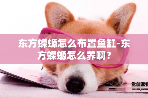 東方蠑螈怎么布置魚缸-東方蠑螈怎么養啊？