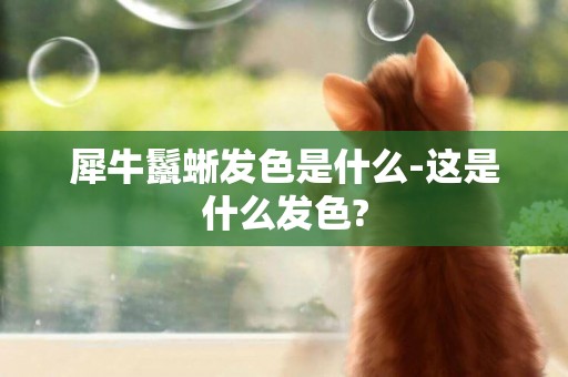 犀牛鬣蜥發色是什么-這是什么發色?