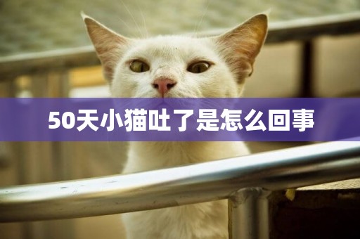 50天小貓吐了是怎么回事