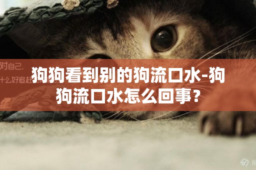 狗狗看到別的狗流口水-狗狗流口水怎么回事？