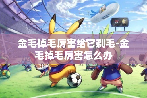 金毛掉毛厲害給它剃毛-金毛掉毛厲害怎么辦