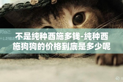 不是純種西施多錢-純種西施狗狗的價格到底是多少呢？