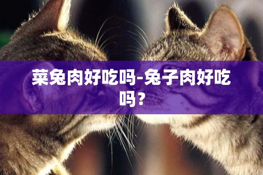菜兔肉好吃嗎-兔子肉好吃嗎？
