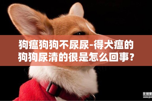 狗瘟狗狗不尿尿-得犬瘟的狗狗尿清的很是怎么回事？